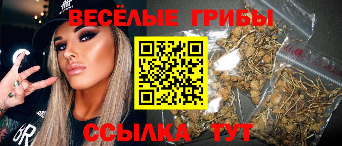 Каменка  Галлюциногенные грибы Psilocybine cubensis  Вход с VPN  Галлюциногенные грибы Cubensis 